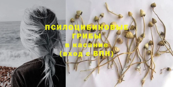 спайс Абинск